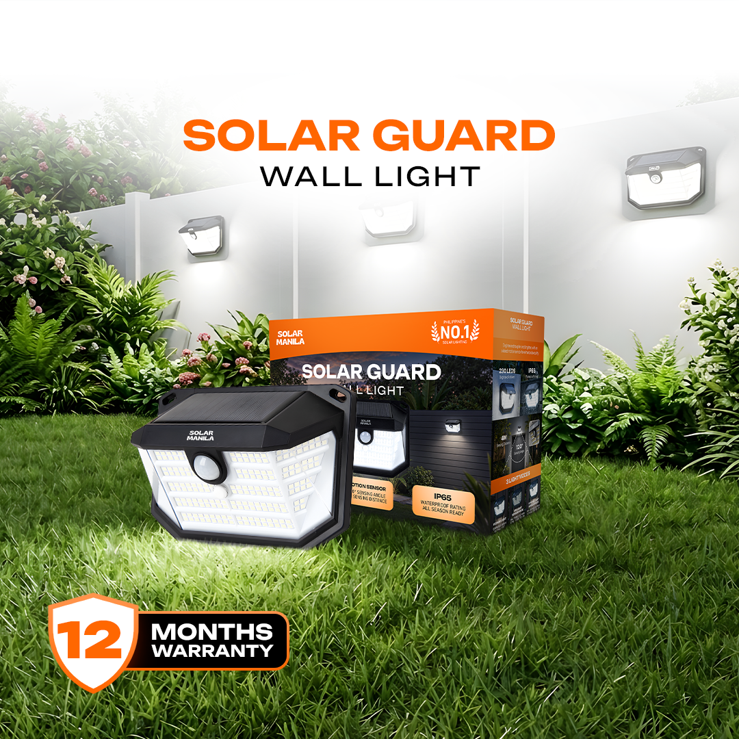 Solar Guard Wall Light